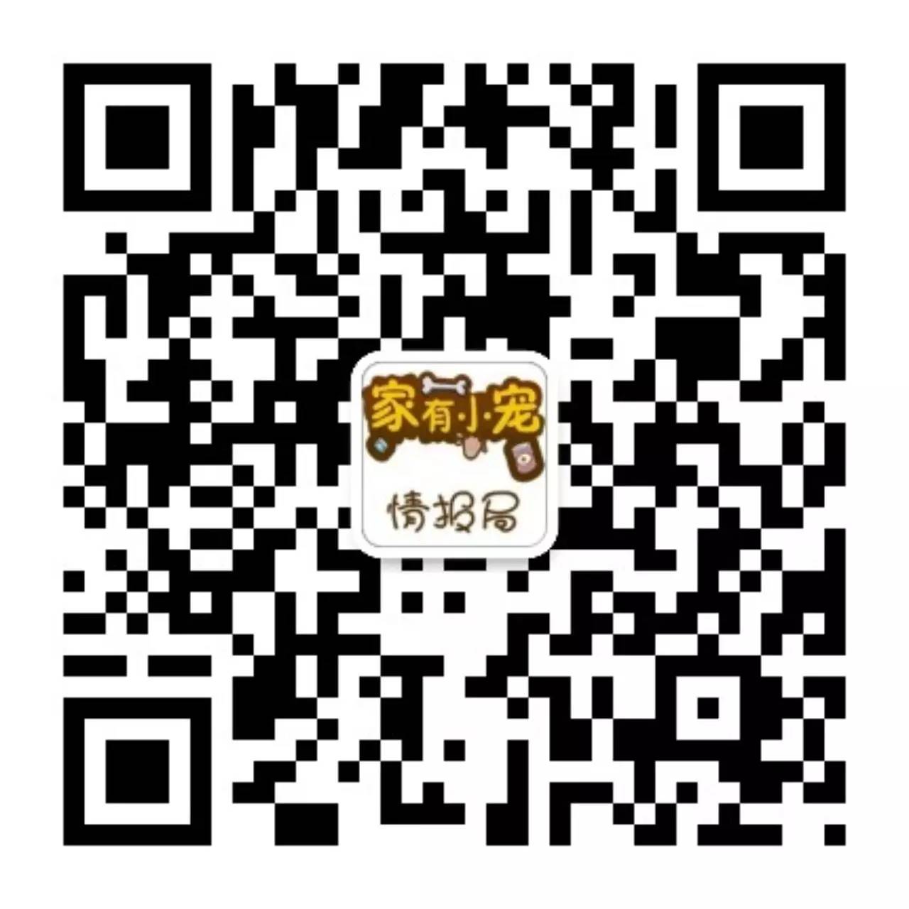 兴趣推荐,发布,任务平台,拼多多助力,小红书点赞,做任务,小红书关注,淘宝助力,小程序助力,抖音关注,抖音点赞,知乎点赞,微视助力,砍价,红包助力,帮砍,接单,公众号关注