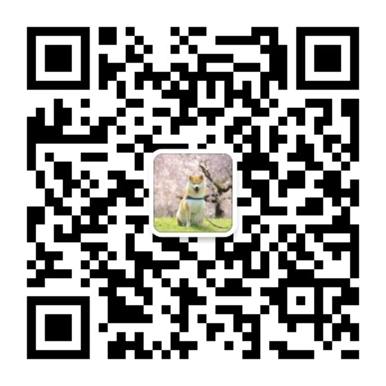 兴趣推荐,发布,任务平台,拼多多助力,小红书点赞,做任务,小红书关注,淘宝助力,小程序助力,抖音关注,抖音点赞,知乎点赞,微视助力,砍价,红包助力,帮砍,接单,公众号关注